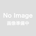 HEMAフリーTPOフリー 大きめラメぎっしりのキラキララメフラッシュジェル GRACE flash Flake Series[会員割引対象]