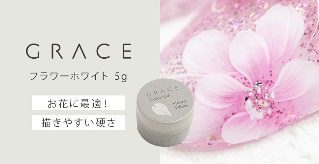 国産NEW19.grace様　　maru様と同梱 観葉植物